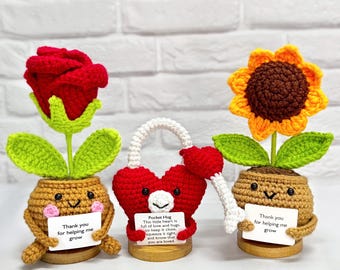 Handmade Crochet Sunflower/Rose/Heart Flowers with Hugging Heart,Emotional Support Potted Plant,Supportive Gift Thanksgiving Gift, Xmas Gift