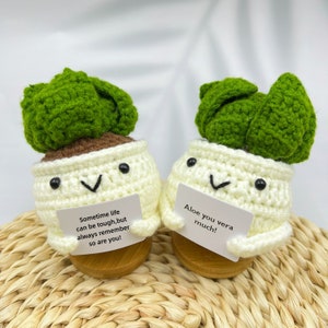 May include: Two crocheted succulent plants with smiling faces and holding signs. The sign on the left says "Sometime life can be tough, but always remember so are you!" The sign on the right says "Aloe you vera much!"