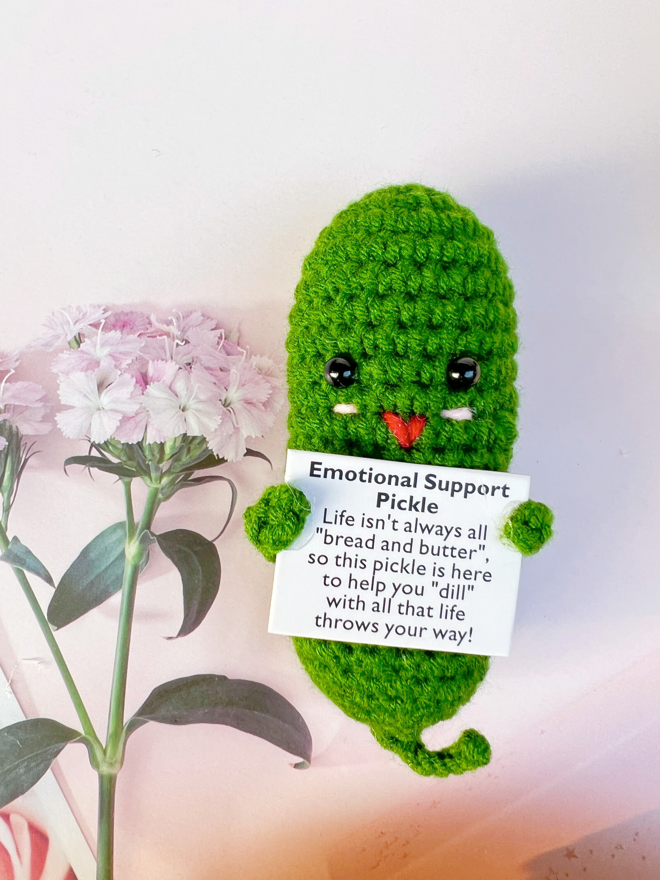 Bulk Sale Crochet Emotional Support Picklesmental Health Gift Etsy