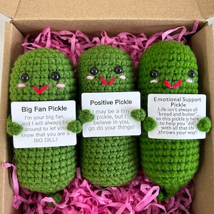 Emotional Support Pickle,Positive Pickle,Big Fan Pickle,Handmade Crochet Pickles,Crochet Sour Cucumber,Home Table Decor,Graduation gift