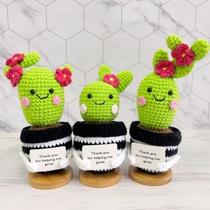 Cactus au crochet fait main avec plante fleurie en pot - Merci de m'avoir aidé à grandir, carte personnalisée gratuite, cadeau de rentrée scolaire, pour maman/amie