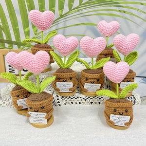 Großverkauf-handgefertigte häkeln rosa Herz-Topfpflanze, Emotive Unterstützungspflanze, Liebes-Herz, fürsorgliche Geschenk für Sie / Frauen / Team / Klasse, Schreibtisch- / Tischdekor