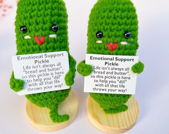 Made my Granddaughter an emotional support pickle : r/crochet