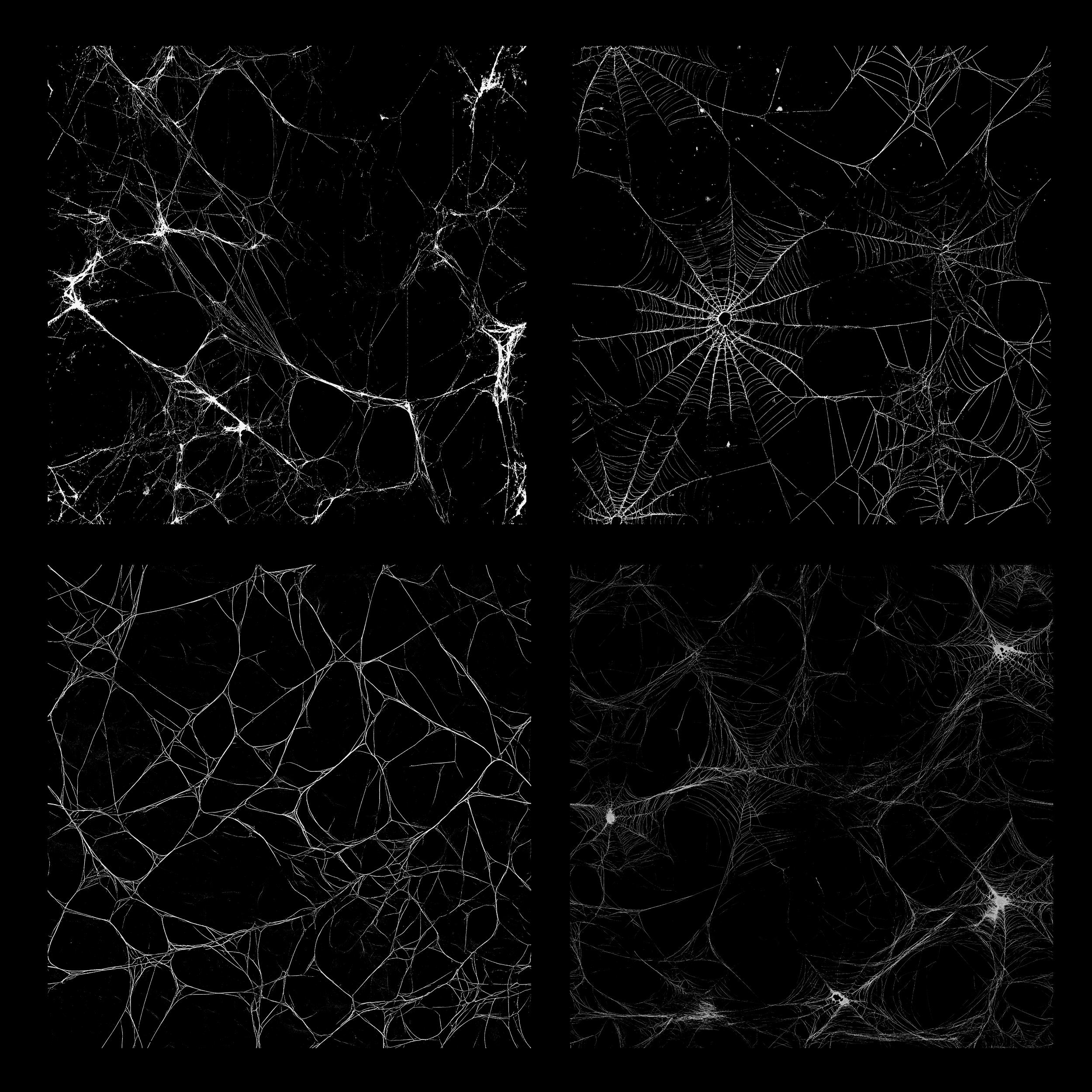 White Spider Web Overlays: 20 Seamless PNG Textures (digital Download ...