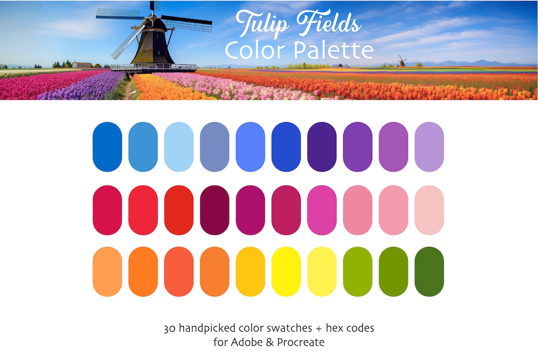 Dutch Tulip Fields Procreate & Adobe Digital Color Palette | Instant ...