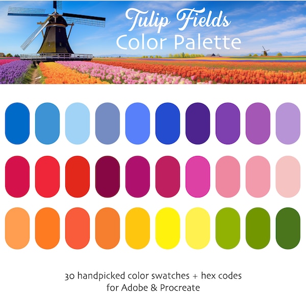 Dutch Tulip Fields Procreate & Adobe Digital Color Palette | Instant Download | HEX Codes | Swatches | Amsterdam | The Netherlands | Holland