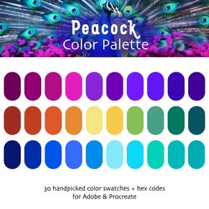 May include: A colour palette inspired by peacock feathers, featuring 30 handpicked colour swatches with hex codes for Adobe & Procreate. The palette includes shades of purple, blue, green, yellow, orange, and red.