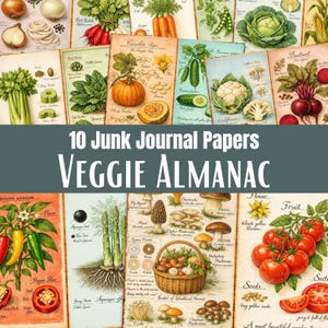 Könnte beinhalten: Eine Sammlung von 10 Junk-Journal-Papieren mit Vintage-Illustrationen verschiedener Gemüsesorten, darunter Radieschen, Karotten und Tomaten. Die Papiere haben ein rustikales, gealtertes Aussehen mit botanischen Zeichnungen und handschriftlichem Text. Der Titel "Veggie Almanac" ist prominent.