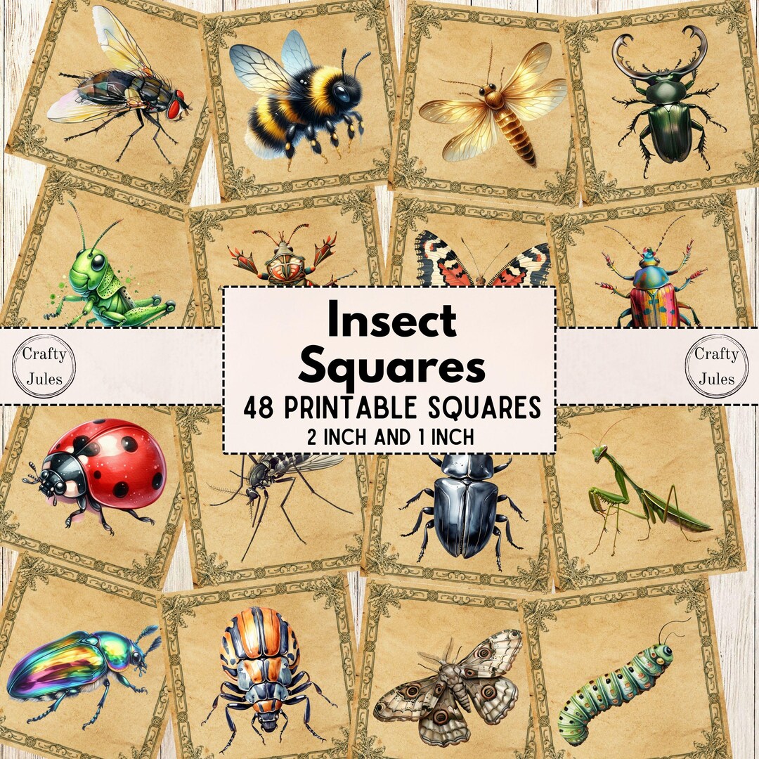 Insect Printable Squares: Ephemera for Junk Journals (digital Download ...