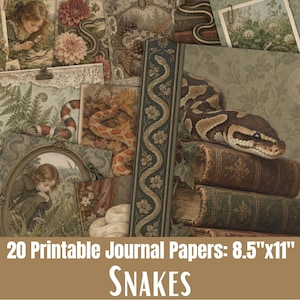 May include: A collection of 20 printable journal papers measuring 21.59 cm by 27.94 cm, featuring various illustrations of snakes, vintage portraits of children, botanical elements, and stacks of antique books in muted green and brown tones.