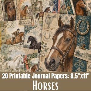 Puede incluir: Una colección de 20 papeles de diario imprimibles con diversas ilustraciones de caballos, motivos ecuestres, sillas de montar y herraduras sobre fondos de estilo vintage. Los papeles miden 21,6 cm por 27,9 cm e incluyen imágenes detalladas.