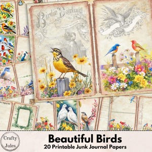 Bird Junk Journal Papers: Vintage Style Printable Pages (Digital Download)