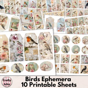 Folhas de objetos efêmeros para impressão de pássaros – 10 páginas digitais de enfeites para diários de recortes, scrapbooking, etiquetas, cartões, bolsos e envelopes