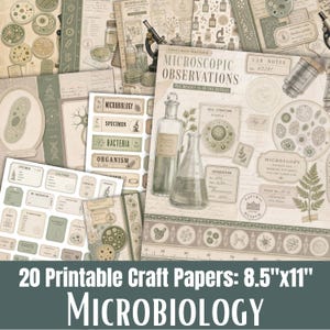 Może przedstawiać: Kolekcja 20 arkuszy papieru do druku o tematyce mikrobiologicznej, zawierająca naukowe ilustracje szkła laboratoryjnego, mikroskopów, struktur komórkowych i etykiet w odcieniach zieleni i beżu, o wymiarach 21,6 cm na 27,9 cm.