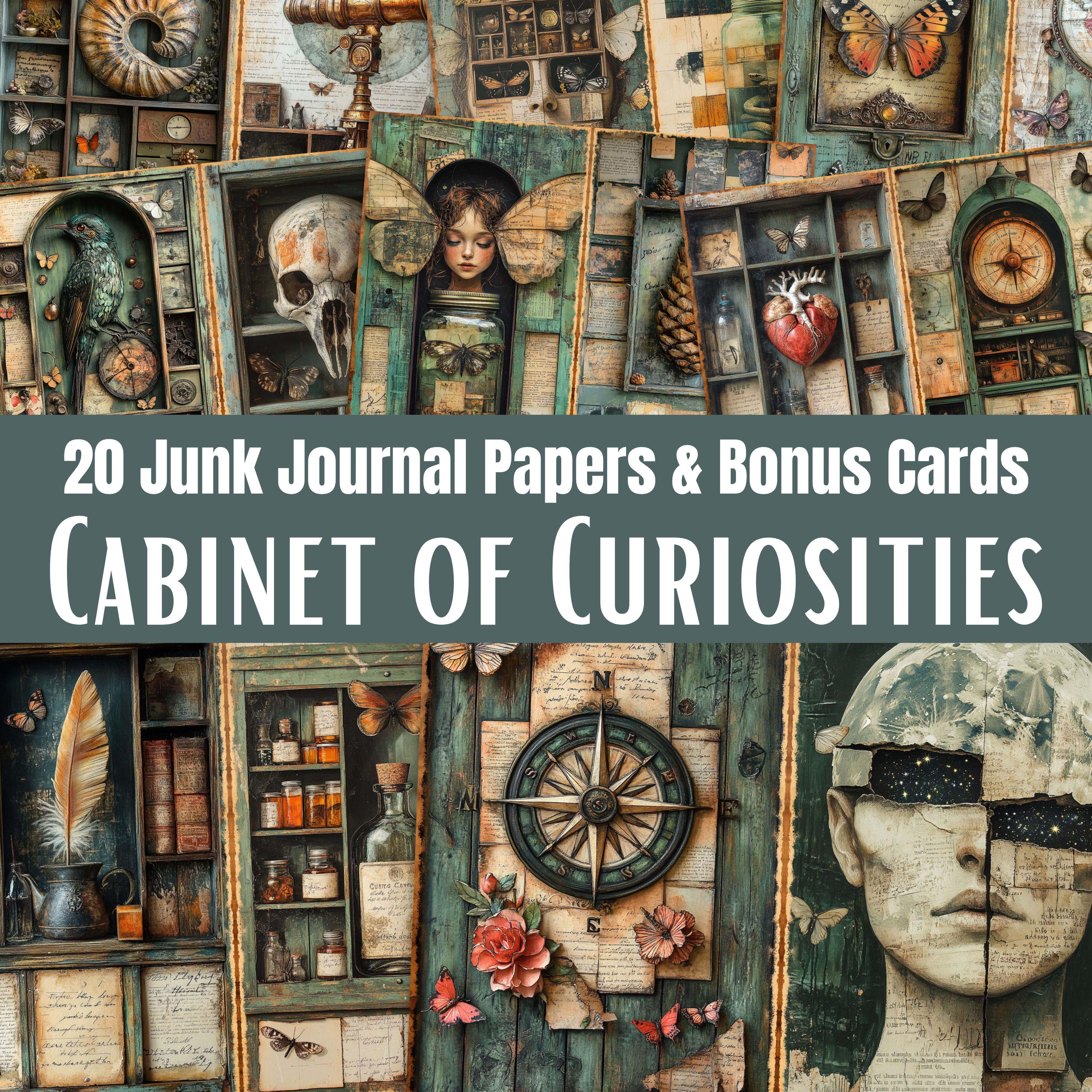 Curiosity Cabinet Junk Journal Papers and Cards, Printable Victorian ...
