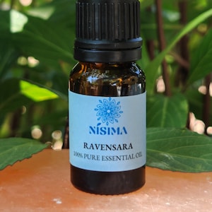 Ravensara NISIMA Essential Oil Ravensara aromatica PURE ORGANIC