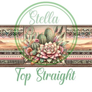 May include: A digital illustration of a desert scene with cacti, succulents, and feathers. The background features a geometric pattern in shades of brown, pink, and white. The text "Top Straight" is at the bottom of the image.