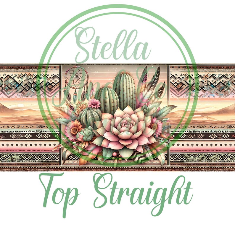 May include: A digital illustration of a desert scene with cacti, succulents, and feathers. The background features a geometric pattern in shades of brown, pink, and white. The text "Top Straight" is at the bottom of the image.