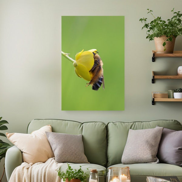 Wandbild "Schlafende Biene", Bilder als Leinwand, Poster, Acrylglas o. Alu-Verbund / Naturfotografie als Wandgestaltung / Insektenfreundlich