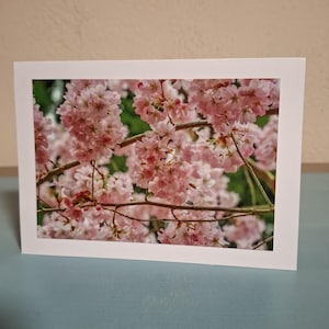 Grußkarte Kirschblüten, Klappkarte weiß DIN A6, inkl. Umschlag, Foto aufgeklebt und wiederverwendbar, Geburtstag, Glückwunschkarte