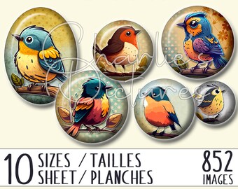 852 images colorful birds on retro background for jewelry making - 10 sizes / 10 files - Digital Collage Sheets, Instant Download - Ref. #27