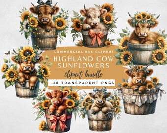 Highland Cow and Sunflower Design | Highland Cow With Sunflowers ...