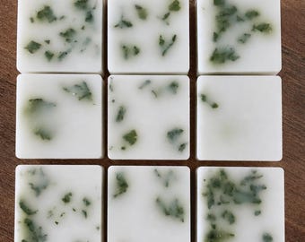 Suffolk Meadows Handmade Soja Wachs Melts - Teebaum
