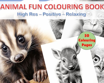 May include: A coloring book featuring 50 black and white illustrations of cute animals, including a raccoon, a baby deer, an owl, and an orangutan. The book is titled "Animal Fun Coloring Book" and says "High Res - Positive - Relaxing".