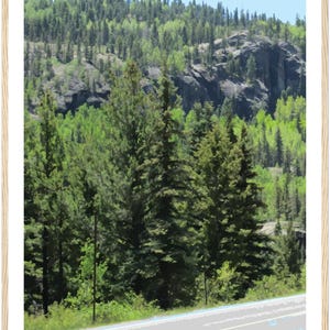 May include: A framed print depicting a Colorado mountain scene. The image shows verdant green trees, a road, and the word "COLORADO" in bold, black letters at the bottom. The sky is a clear blue. The frame is a light wood colour.