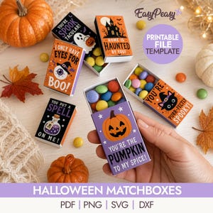 Könnte beinhalten: Ein Set rechteckiger Streichholzschachteln zum Thema Halloween mit bunten Illustrationen von Kürbissen, Geistern, Katzen und Spukhäusern sowie Texten wie You're Spooktacular, Home is Haunted, I Only Have Eyes for Boo, You Put a Spell on Me und You're the Pumpkin to My Spice.