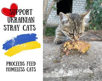 Support Ukrainian Stray Cats: Photo Updates & Personalized Mentions