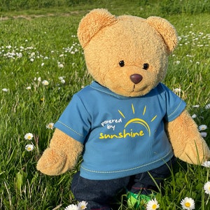 verschiedene T-Shirts Bärti für Teddybären und andere Plüschtiere verschiedene Größen handgefertigt Bild 4