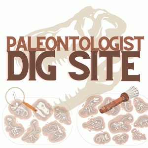 May include: Paleontologist Dig Site activity set with two dig sites, each with multiple dinosaur skeletons to uncover. The set includes a magnifying glass and a brush for digging.