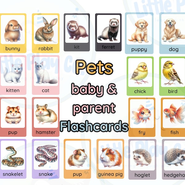 Pets Baby and Parent Flashcards