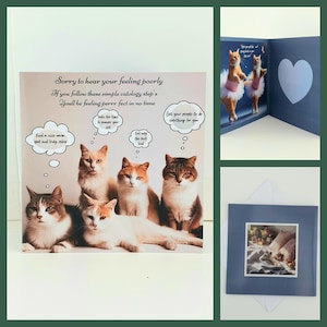 Sorry te horen dat het niet goed met je gaat beterschap kaart grappige gekke kat dame gekke katten kattenliefhebbers vriend grap humoristisch hoop dat je je beter voelt