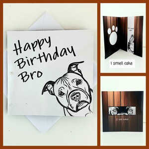 Joyeux anniversaire frère saffie chien aime le gâteau chiot staffordshire bull terrier très drôle mignon frère ami humour inhabituel