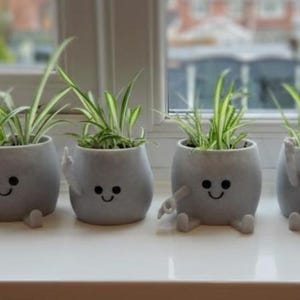 May include: Six small, grey, smiling face plant pots with green plants inside, arranged on a windowsill. Each pot has arms and legs, giving them a playful appearance. The plants have long, thin green and white leaves.