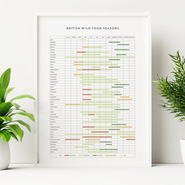 British Wild Food Calendar, Foraging Seasons Print, Seasonal Foraging Gift, Plant Wall Decor, Digital Print, Printable Art