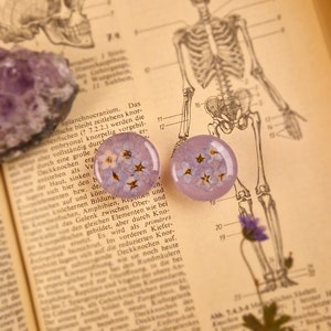 a few ear studs | forget-me-nots | plugs tunnels