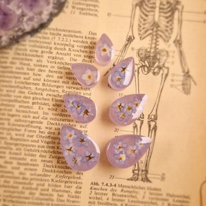 a pair of ear studs | forget-me-nots * drops | plugs tunnels