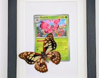 Pokemon Karte Entomologie Box Rahmen, echte Schmetterling Präparate Box
