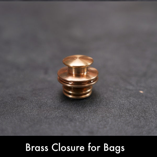 Hook lock - solid brass - clip buckles - lock bag - lock snap - decorative clasps - closure leather - diy hardware