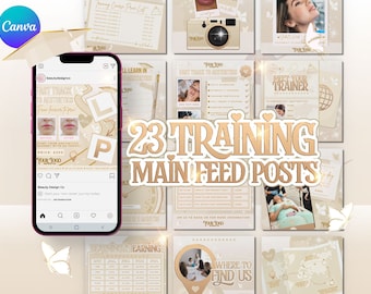 Aesthetics Training Academy Instagram Templates, Beige & Gold (Canva Editable)