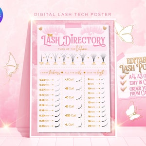 Lash Chart-poster voor salondecor. Digitale bewerkbare wimperverlenging Canva Poster, Lash Tech, roze, goud, wimpergrafiek, wimper, in A2, A3 en A4