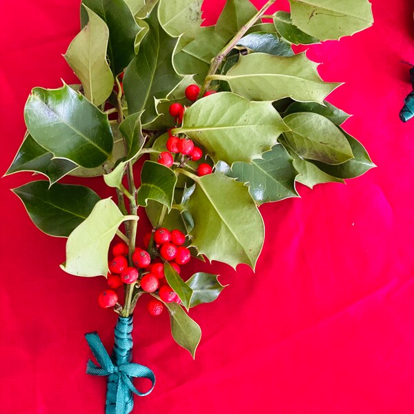 PROMO Trois bouquets de houx , Ilex avec baie rouge de noel feuillage décoration