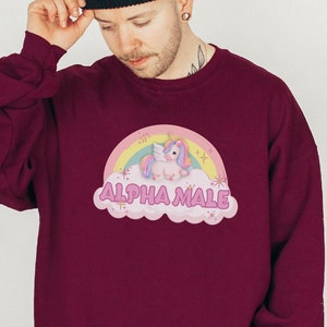 Plus Size Unicorn Hoodie Etsy UK