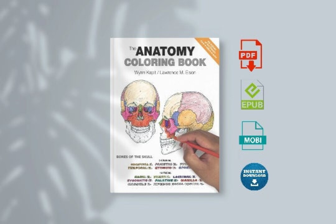 The Anatomy Coloring Book 4th Edition - Etsy Canada
