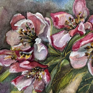 Dipinto ad acquerello originale di fiori di melo – Arte murale floreale rosa – Regalo botanico unico nel suo genere per lei – Decorazione primaverile naturale 5x7