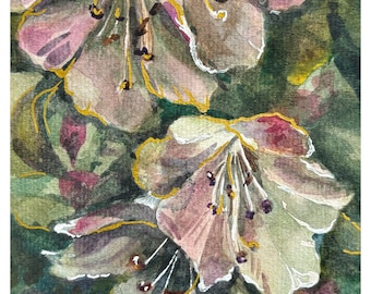 Rhododendron William's Daily, fleurs de printemps miniatures de Force of Nature
