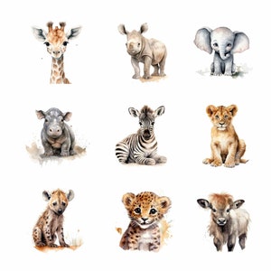 Safari Baby Animals Watercolor Clipart, 10 PNG Pack, Digital Download, Watercolor Clipart, Sublimation Design, Commercial Use